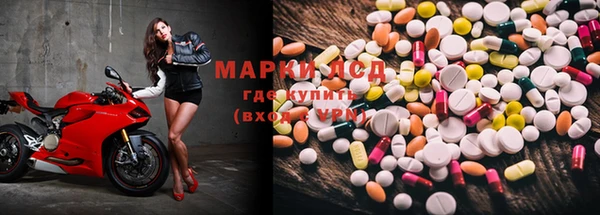 крисы Богородицк