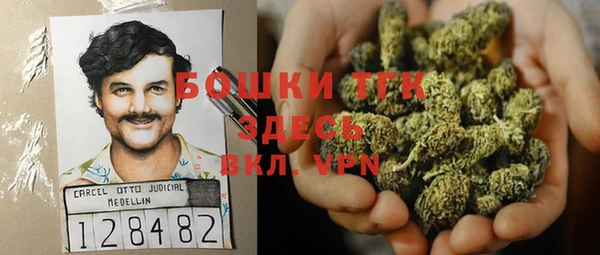 крисы Богородицк