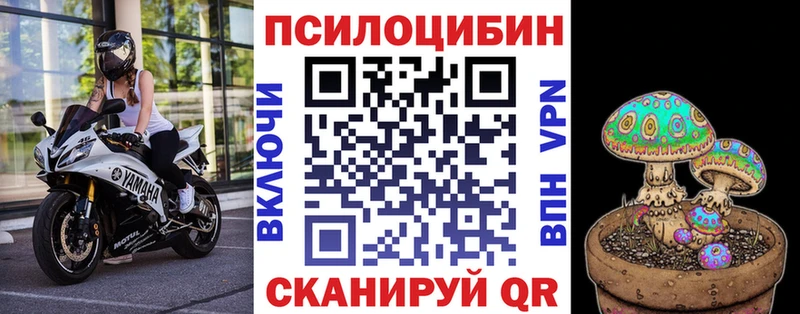 Псилоцибиновые грибы Cubensis  Вяземский 